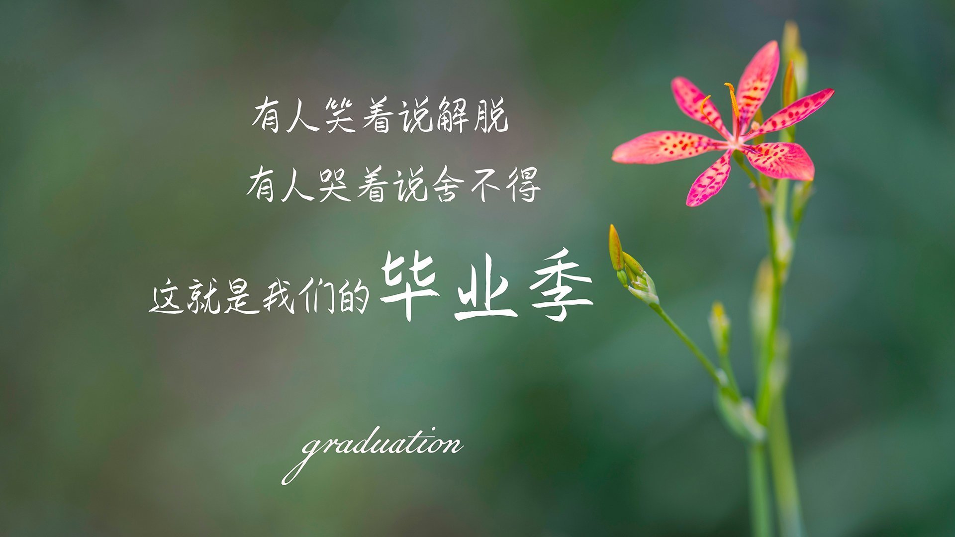 德甲青训项目中融合认知行为评估模型识别情绪易波动球员