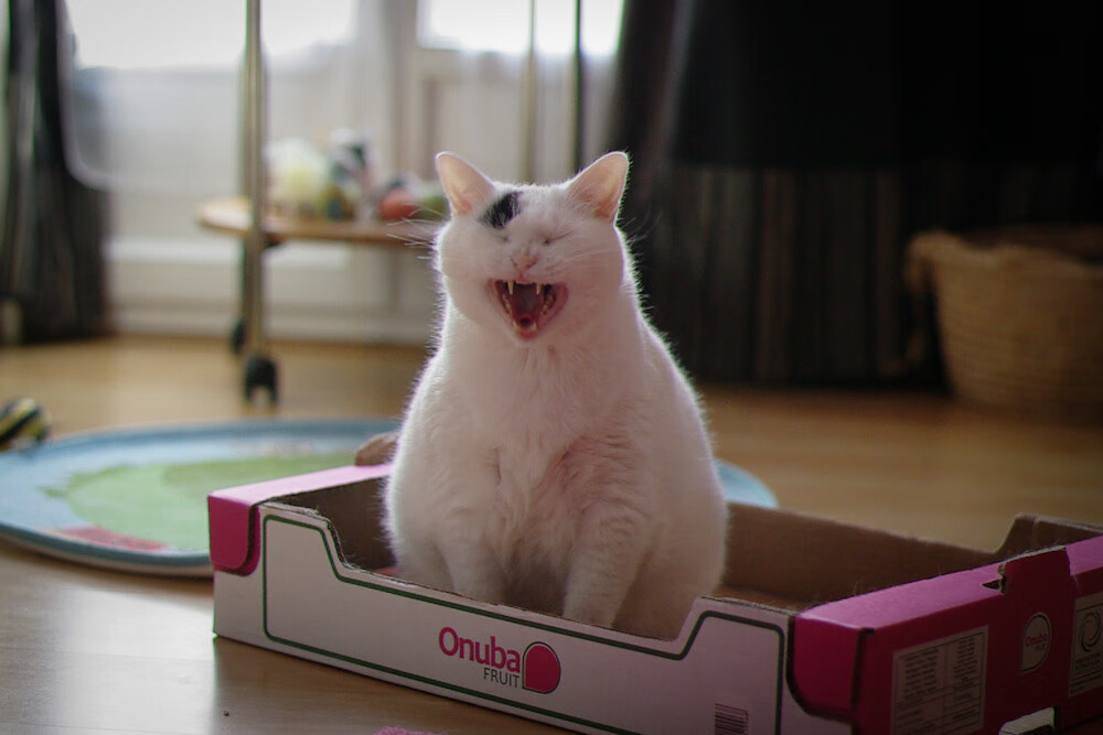 场上沟通是否决定防守成败，沟通场合的重要性