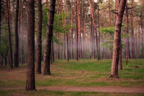 开云体育开云-中国男篮挑战欧洲劲旅 吸取宝贵经验，欧洲篮球联赛中国人