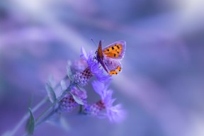 开云真人体育娱乐-国际热身赛中国女足战平 球迷期待新战术，国足热身赛最近